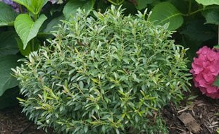 Outdoor Garden Store -Outdoor Garden Store 3