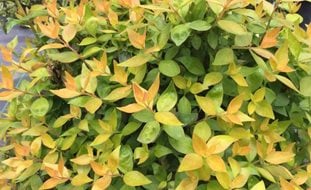 Outdoor Garden Store -Outdoor Garden Store 4