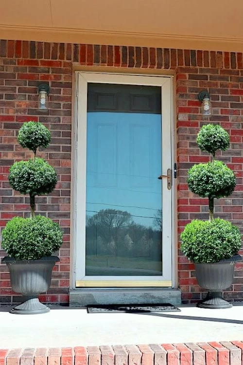 Common Boxwood 3-Ball Poodle Tier Topiary (Buxus Sempervirens) - 5 Gallon Pot 6 Common Boxwood 3-Ball Poodle Tier Topiary (Buxus Sempervirens) - 5 Gallon Pot - Image 4