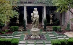 Dwarf Mondo Grass - 72 Pack Of 3.5" Pint Pots -Outdoor Garden Store Picture Mondo Grass Dwarf Pavers