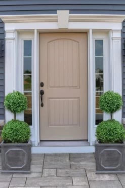 Common Boxwood 2-Ball Poodle Tier Topiary (Buxus Sempervirens) - 3 Gallon Pot (Short) 9 Common Boxwood 2-Ball Poodle Tier Topiary (Buxus Sempervirens) - 3 Gallon Pot (Short) -Outdoor Garden Store boxwood two ball poodle tier 2