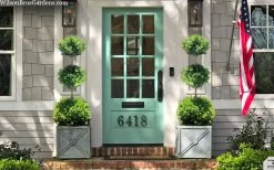 Green Mountain Boxwood 3-Ball Poodle Tier Topiary - 6 Gallon Pot 9 Green Mountain Boxwood 3-Ball Poodle Tier Topiary - 6 Gallon Pot -Outdoor Garden Store buxus green mountain 3 ball topiary 20