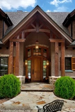 Winterstar Boxwood - 2 Gallon Pot 11 Winterstar Boxwood - 2 Gallon Pot -Outdoor Garden Store buxus winterstar boxwood 3