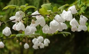 Outdoor Garden Store -Outdoor Garden Store d