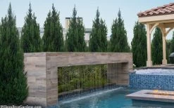 Spartan Juniper - 1 Gallon Pot 11 Spartan Juniper - 1 Gallon Pot -Outdoor Garden Store juniperus chinensis spartan columnar juniper 40