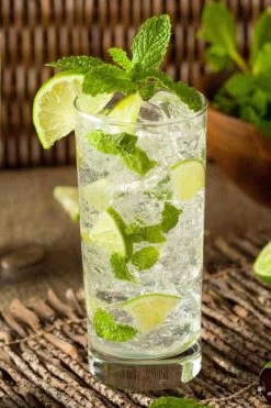 Mojito Mint Plant - 6 Pack Of Pint Pots