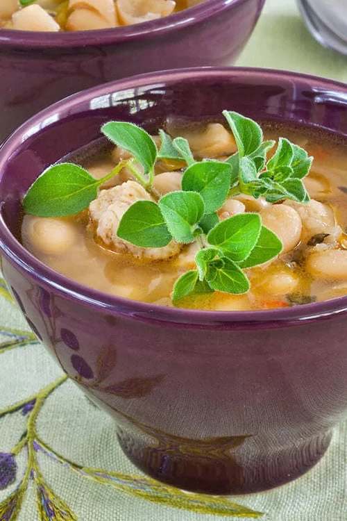 Hot & Spicy Oregano - 6 Pack Of Pint Pots 8 Hot & Spicy Oregano - 6 Pack Of Pint Pots - Image 6